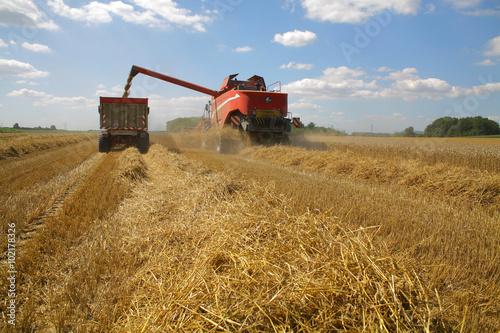 Moisson du bl   moissonneuse et tracteur