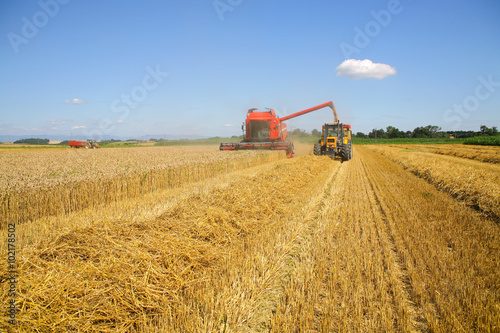 Moisson du blé moissonneuse et tracteur
