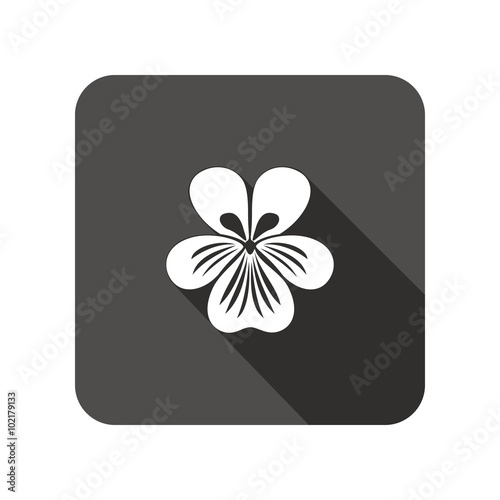Viola, violet, nasturtium, pansy flower icons. Spring floral symbol. Round circle flat icon with long shadow. Vector