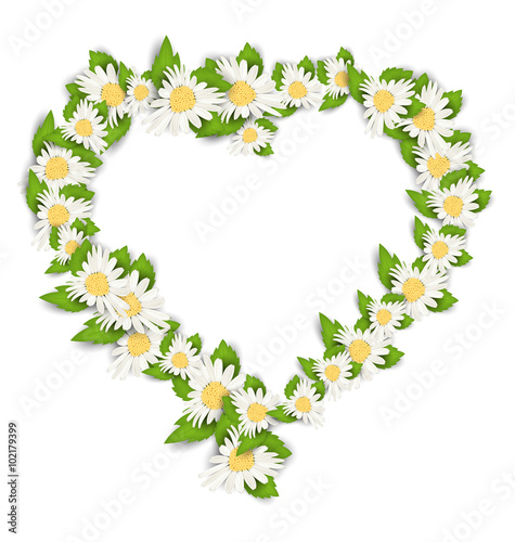 Fototapeta Naklejka Na Ścianę i Meble -  Daisy Flowers in Form Heart Isolated on White Background