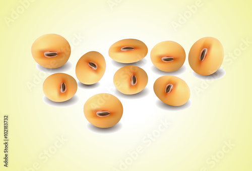 Soy beans on white background