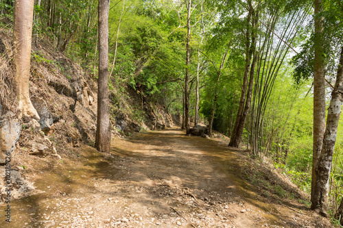 Trail to Hellfire pass  World War 2 memorial   Kanchanaburi  Tha