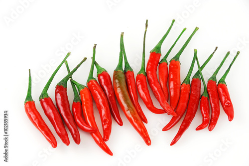 red spicy peppers isolated on white background