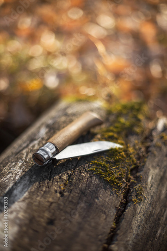 folding knife on log