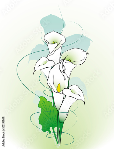 Calla lilies abstract