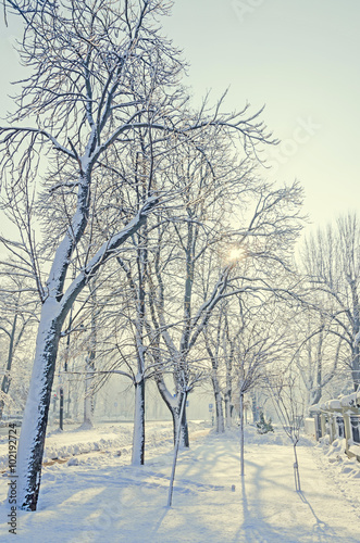 Public park from Europe with trees and branches covered with snow and ice, benches, light pole, landscape.
