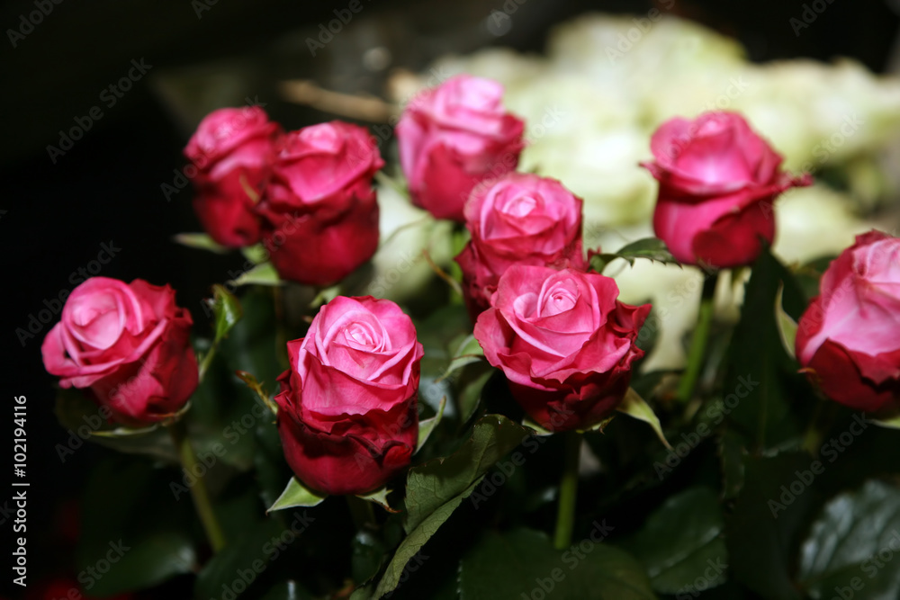 beautiful wedding bouquet of red roses closeup beautiful wedding bouquet of red roses closeup