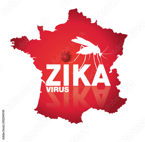 virus zika en france