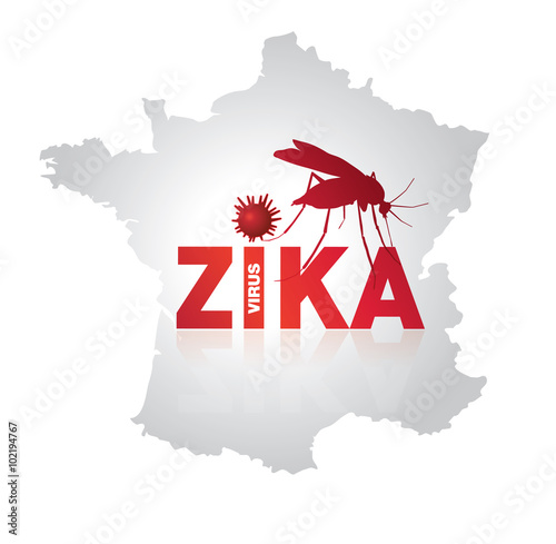 virus zika en france