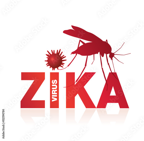 virus zika en france