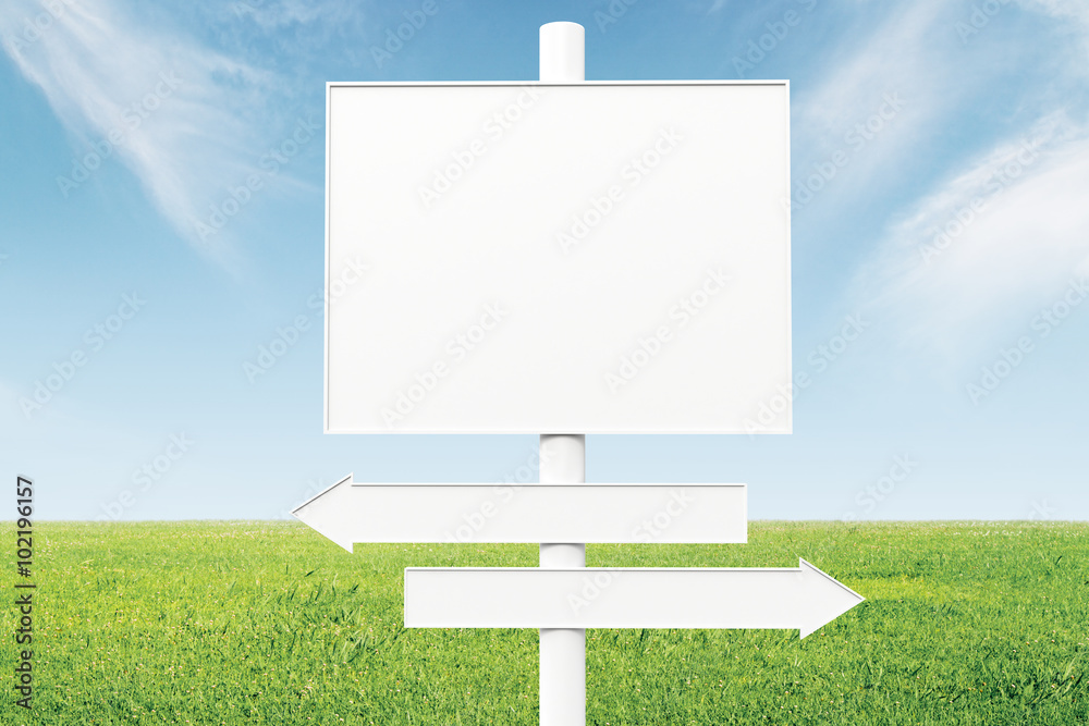 Blank direction signs on a background of green grass and blue sk Blank direction signs on a background of green grass and blue sk