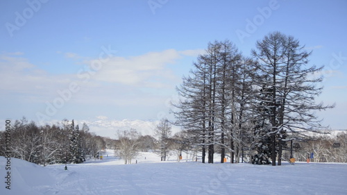 Wallpaper Mural NIIGATA - FEBRUARY 28th: Skiers and Snowboarders enjoying the slopes on February 28th, 2012. Niigata is popular in Japan during the winter period with tourist from Tokyo to hit the slopes.  Torontodigital.ca