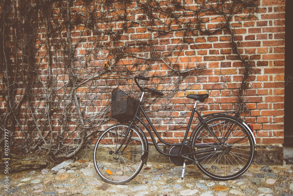 Vintage bicycle leaning on the wall