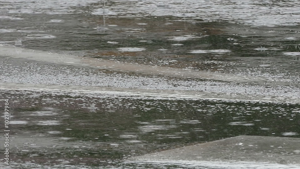Rain at street drops falling to puddle and asphalt HD panning footage Rain at street drops falling to puddle and asphalt HD panning footage