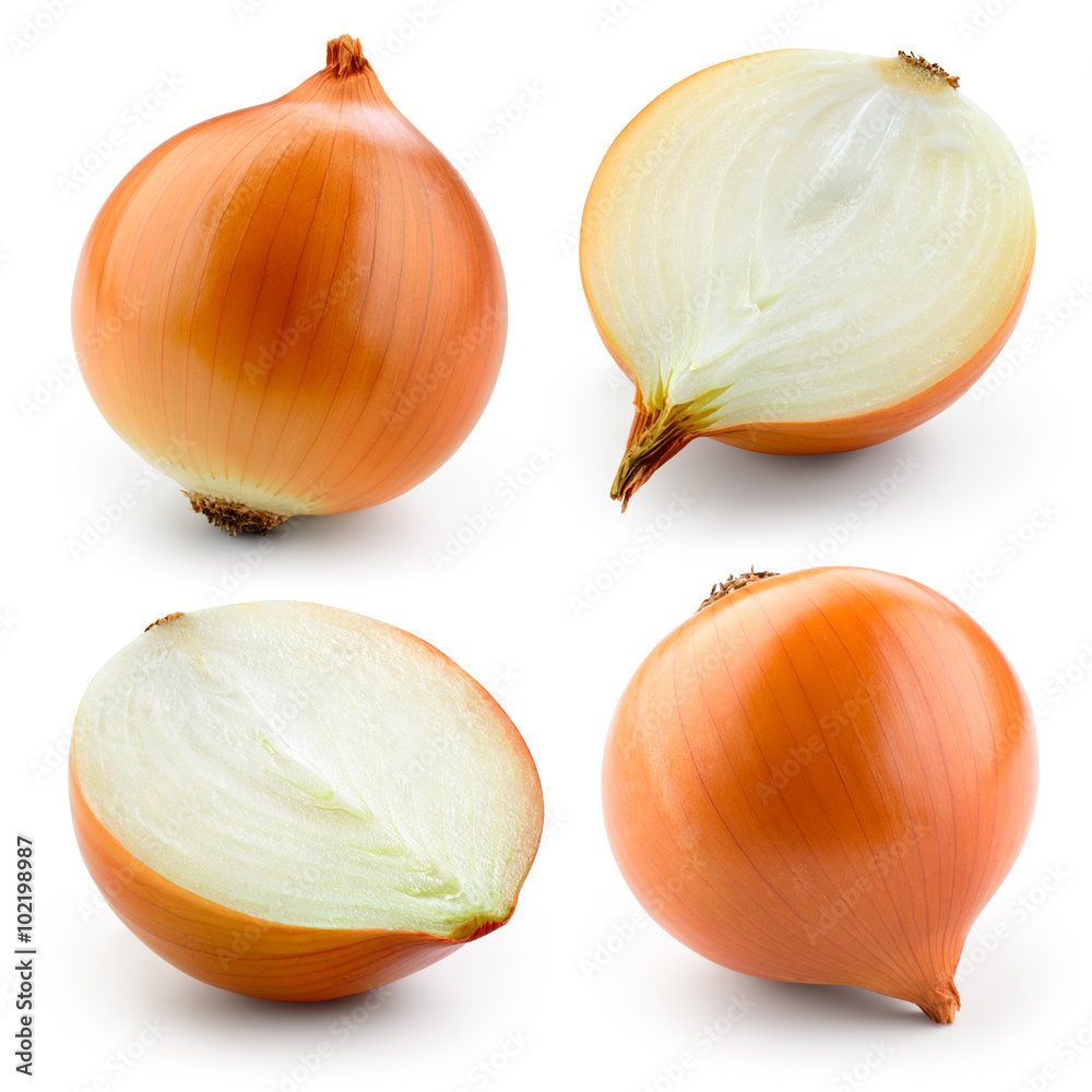 Onion bulb isolated on white. With clipping path. Collection. - obrazy, fototapety, plakaty 