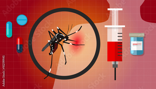dengue fever chikungunya masquito disease spread 
