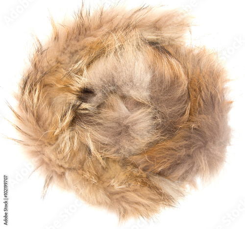 a piece of brown fur on a white background © studybos