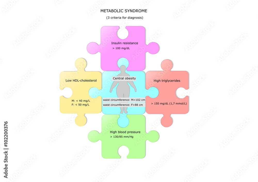 Metabolism visual data 4