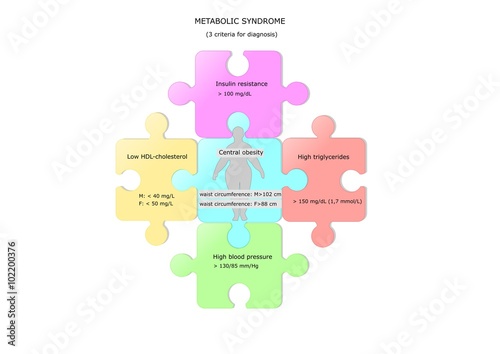 The metabolic syndrome, criteria for diagnosis