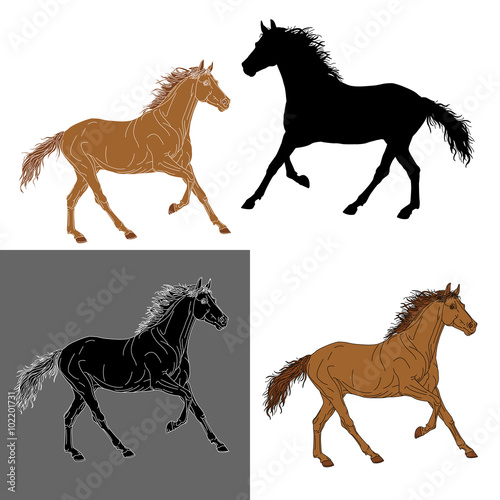  set of silhouettes color horse isolated