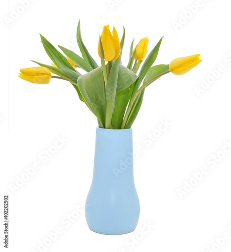Fototapeta Naklejka Na Ścianę i Meble -  Tulips in vase