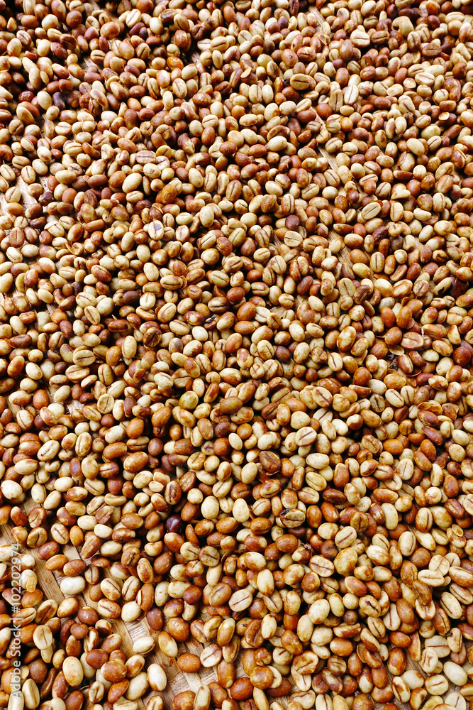 Coffee beans for backgrounds or textures Coffee beans for backgrounds or textures