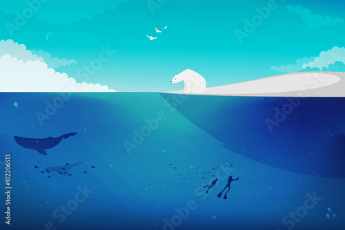 Polar Bear vector illustration
