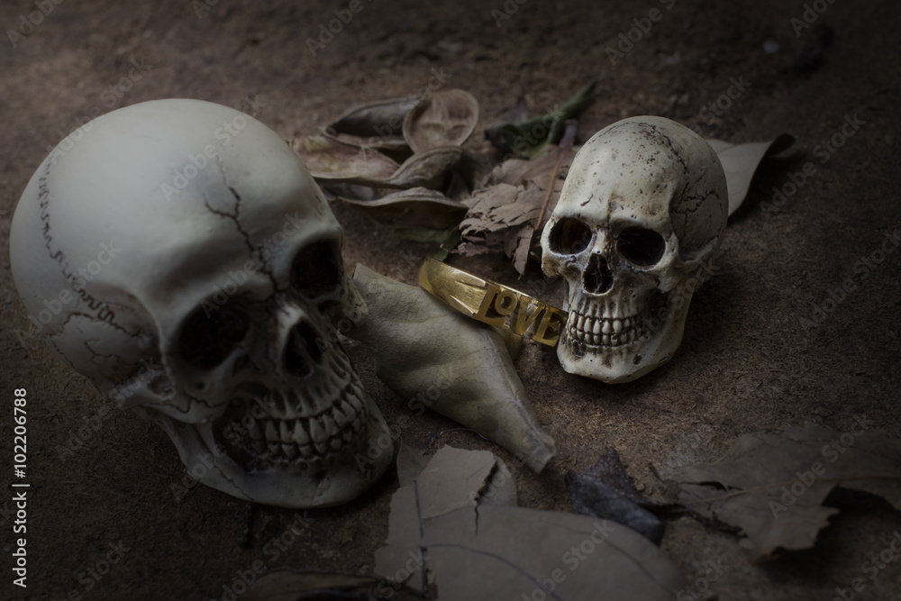 Skull and light candle with dry leves and gold ring - Still life style Skull and light candle with dry leves and gold ring - Still life style