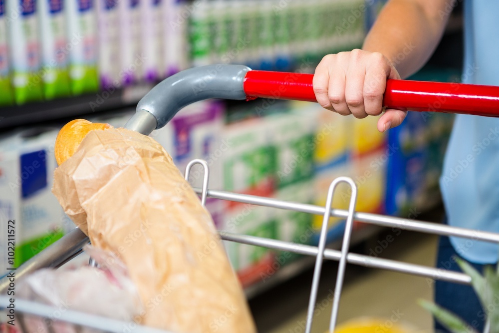 Cropped image of woman pushing trolley in aisle Cropped image of woman pushing trolley in aisle
