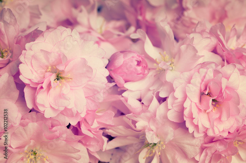 Background of beautiful pink flowers in vintage style