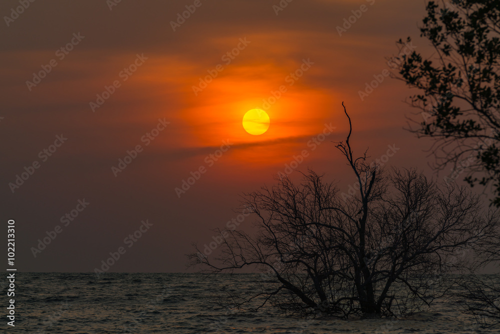 Obraz premium sun rise