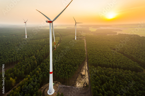Luftbild eines Windparks im Wald bei Sonnenaufgang