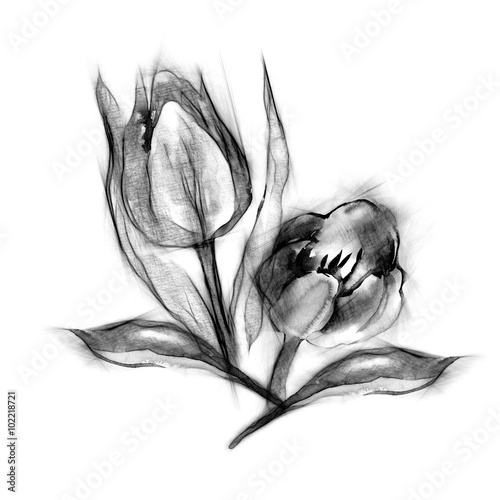 Seamless Pattern of Sketched Tulips