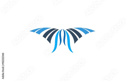 swift kite logo