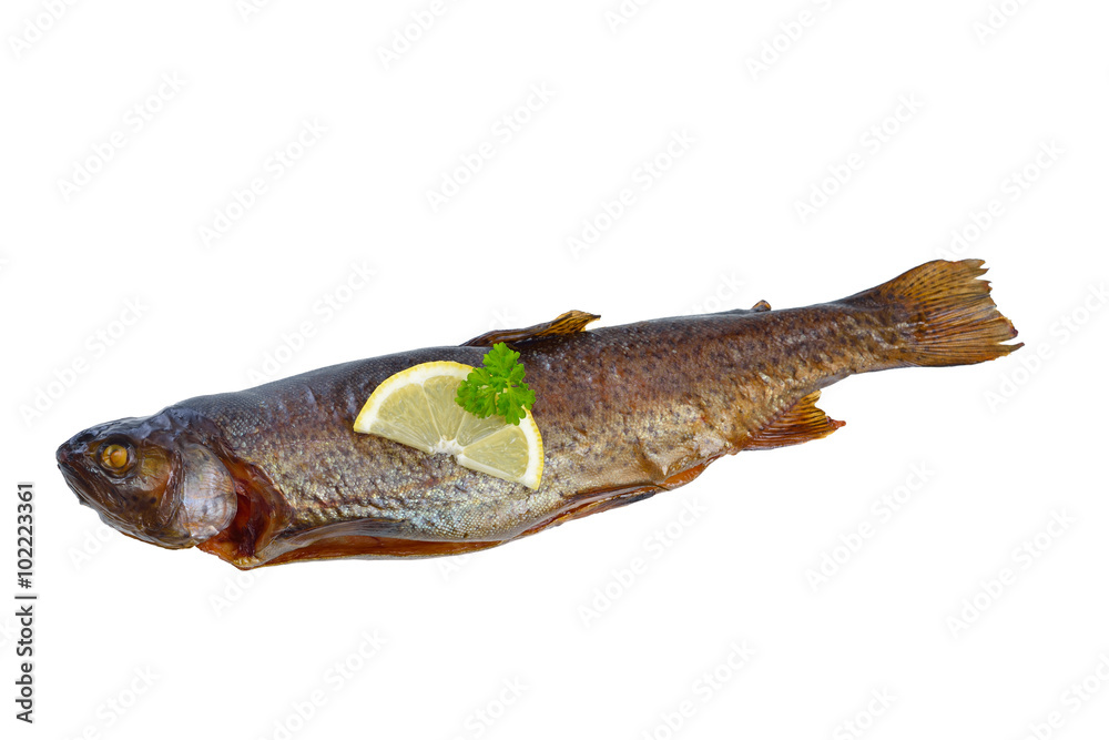 Eine freigestellte geräucherte (Regenbogen-) Forelle - a smoked rainbow trout isolated on white Eine freigestellte geräucherte (Regenbogen-) Forelle - a smoked rainbow trout isolated on white