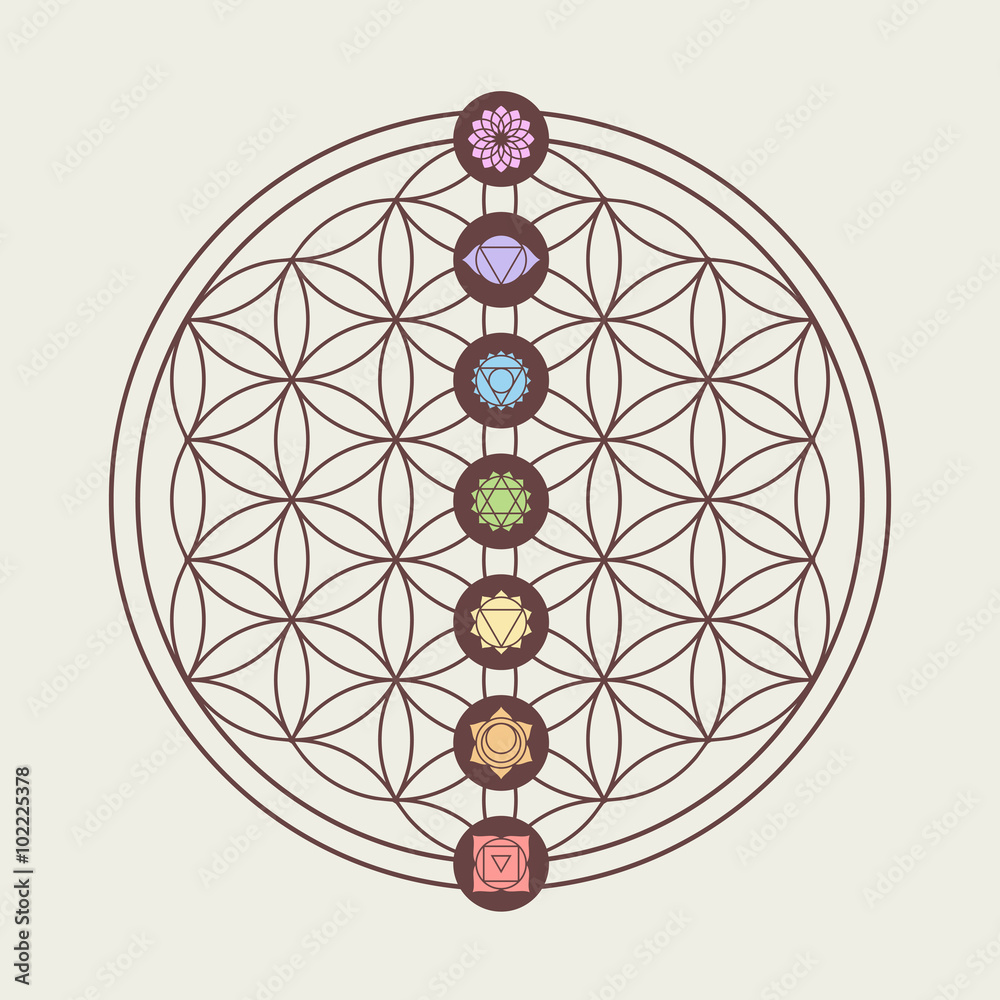 Chakra icons on sacred geometry design Stock Vector | Adobe Stock