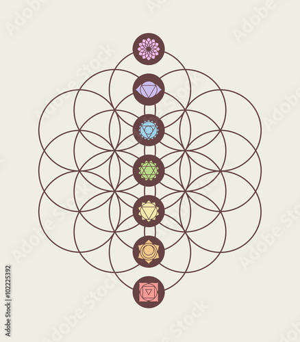 Chakra icons on flower of life modern design