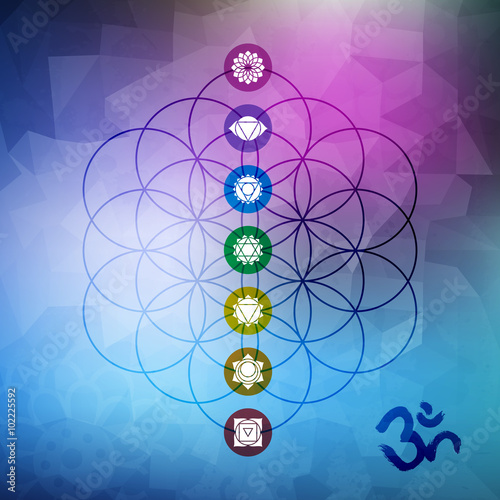 Sacred geometry flower of life with chakra icons