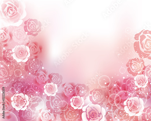 rose background
