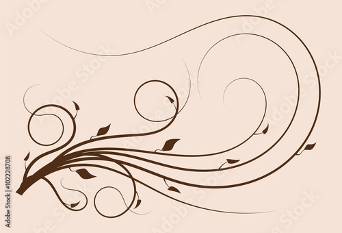 Flourish curves