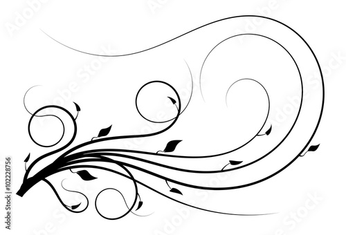 Flourish curves