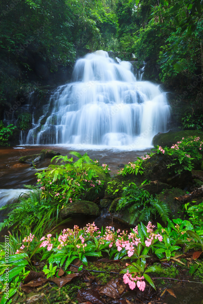 Naklejka premium Waterfall in deep forest