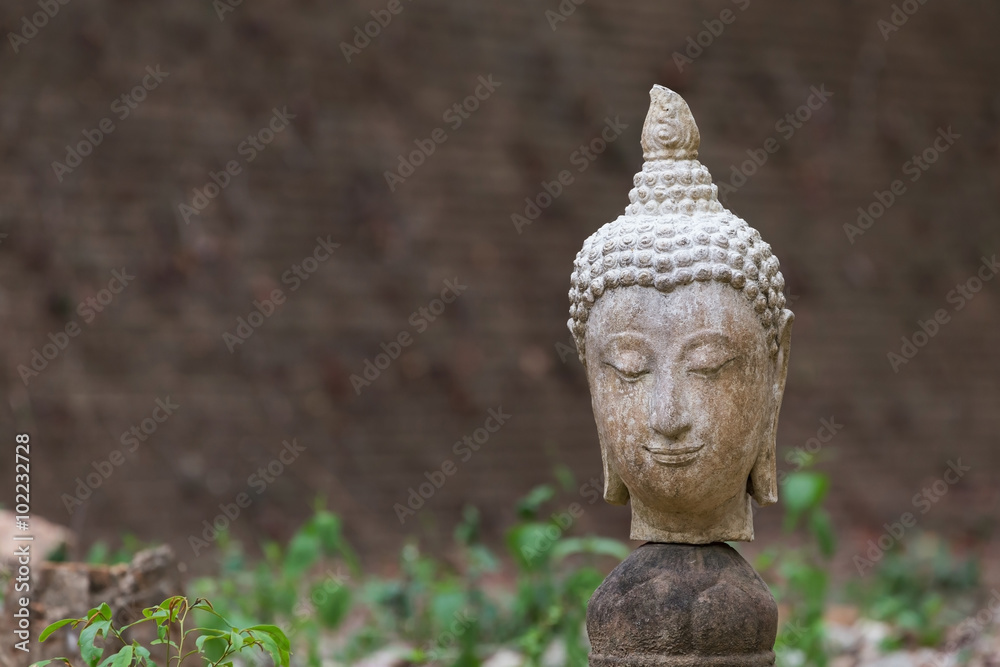 buddha statue in wat umong, chiang mai, travel thai temple