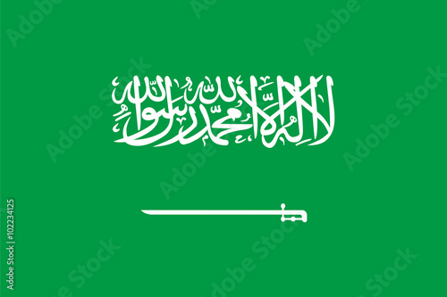 Standard Proportions for Saudi Arabia Flag