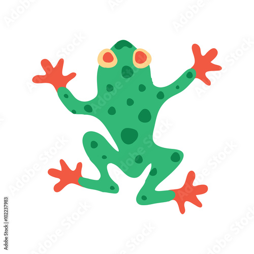 Cute frog isolated on white