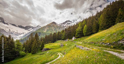 Valmalenco (IT) - Chiareggio - strada per Alpe dell'Oro photo