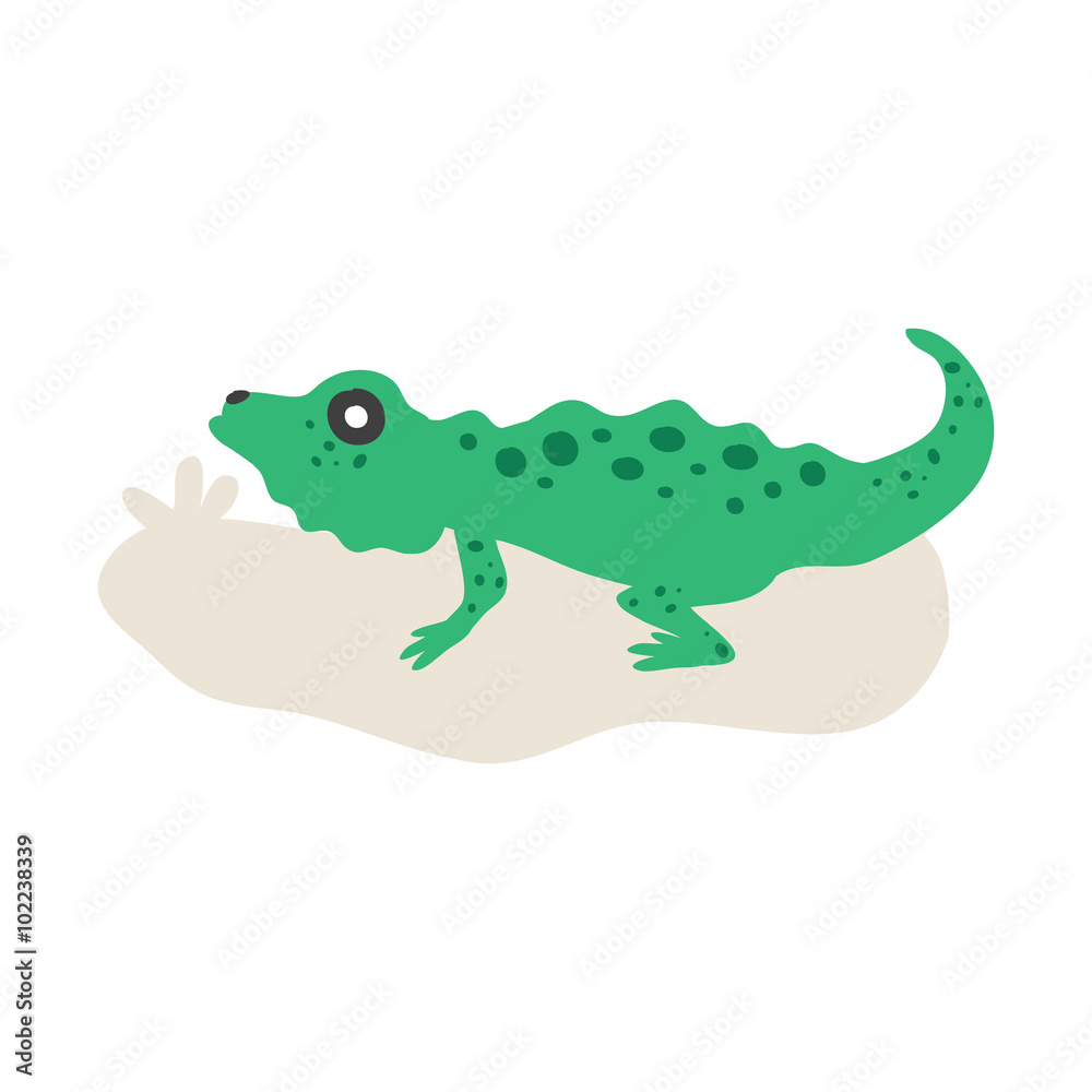 Obraz premium Green Iguana isolated