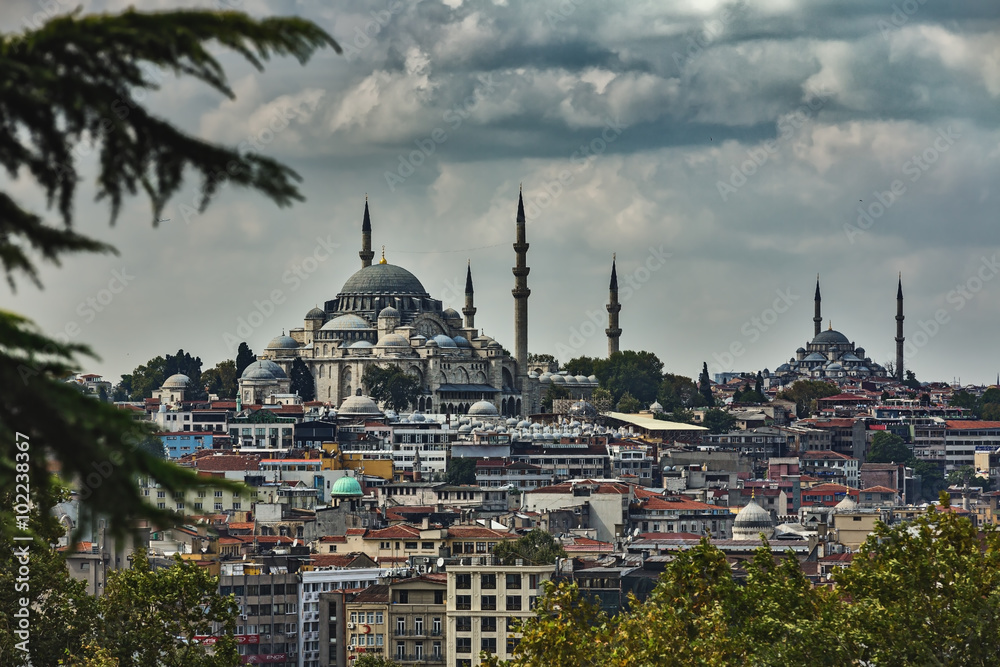 Obraz premium Турция. Стамбул. Вид на исторический центр города от дворца Топкапы.