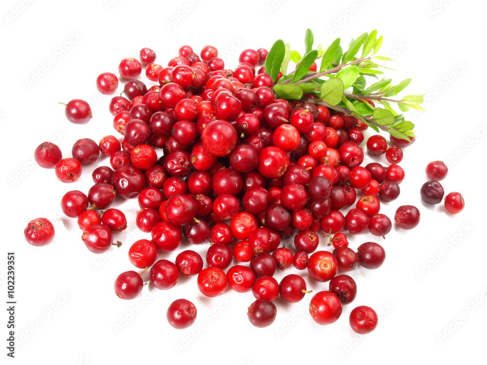 Preiselbeeren Preiselbeeren