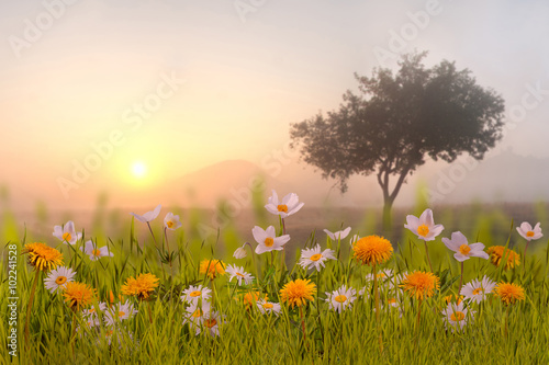 Obraz na płótnie Floral background